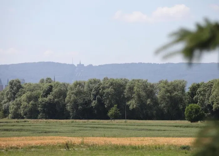 Art City-studio Kassel 10, Gross, Modern, Citynah, Kostenfreie Parkplaetze, Sued-balkon, Ruhig, Herkulesblick, Voll Ausgestattet شقة Niestetal